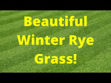 West Coaster Rye Grass Sod