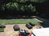 grass that grows in shade