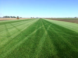 elite plus sod farm