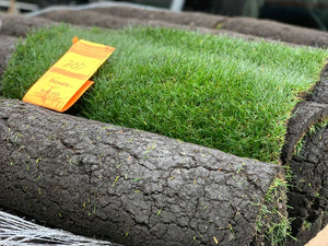 All our sod pricing is now online!