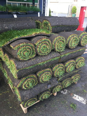 Lowest Priced Sod Delivery