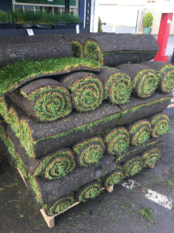 lowest price sod delivery