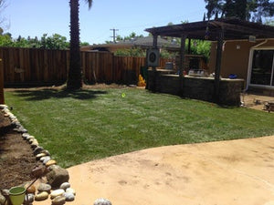 Landscape Your Sod Lawn with Grass Ground Cover