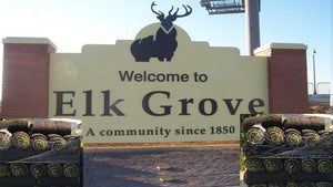 Best sod for Elk Grove Californa