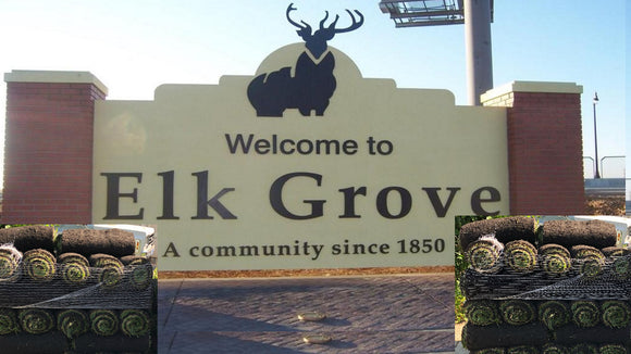 Elk Grove Sod