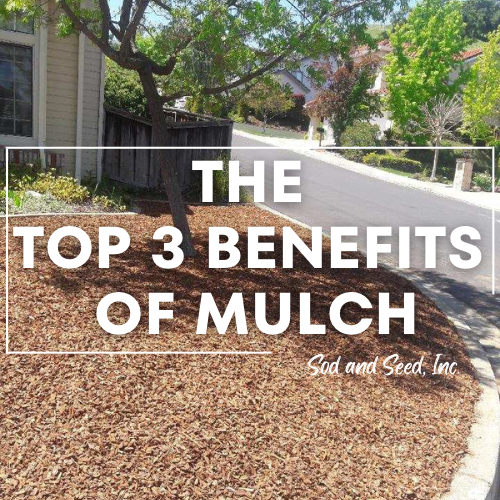 The Top 3 Benefits of Mulch Sod and Seed, Inc.
