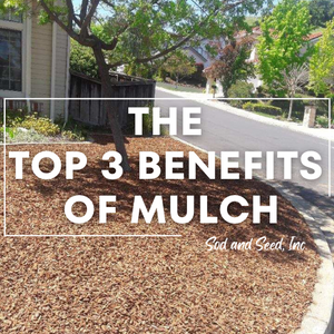 The Top 3 Benefits of Mulch