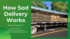 How Sod Delivery Works