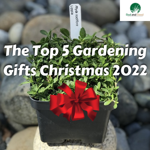 The Top 5 Gardening Gifts Christmas 2022