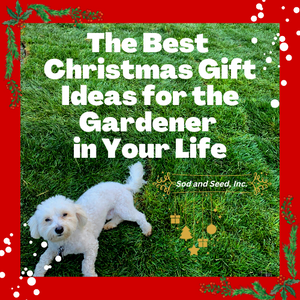 The Best Christmas Gift Ideas for the Gardener in Your Life