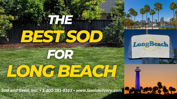 best sod for long beach