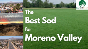 Best Sod For Moreno Valley