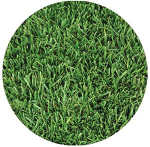 100% Kentucky Bluegrass