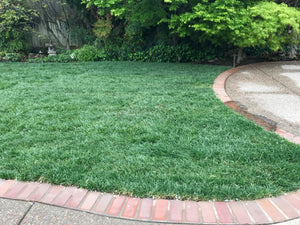 Thank you Westwood residents of Walnut Creek Ca for the great sod picture!