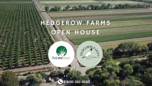Native Seed and Native Plant Open House by Hedgerow Farms