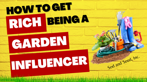 How to Get Rich Being a Garden Influencer