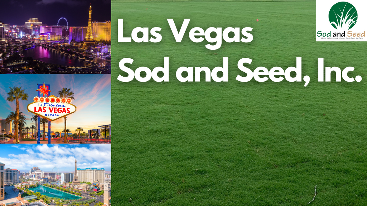 Sod and Seed, Inc. Free Delivery to Las, Vegas Nevada!