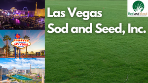 Las Vegas Sod and Seed, Inc!