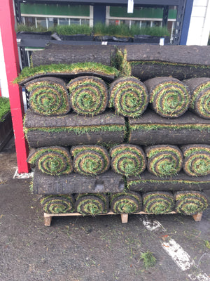 Kurapia grass now available in sod rolls.