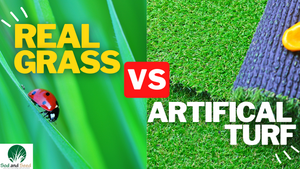 Real Grass vs. Artificial Turf: A Comparison of Benefits and Considerations
