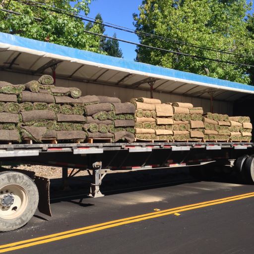 California sod delivery near me