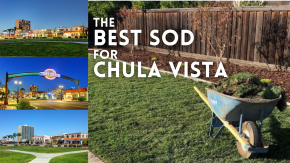 The Best Sod and Grass Seed for Chula Vista