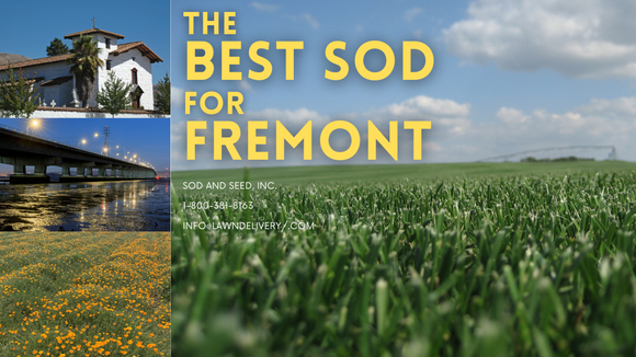 thumbnail of a sod field and parts of the city of fremont