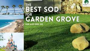 Best Sod for Garden Grove