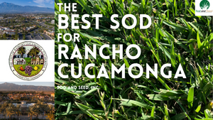 Best Sod For Rancho Cucamonga