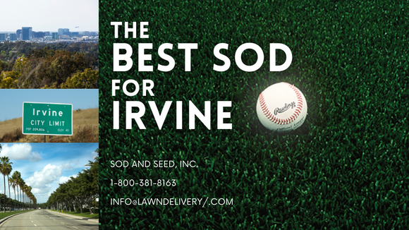 thumbnail of a sod lawn with a baseball on it and smaller pictures of the city of rivine, california