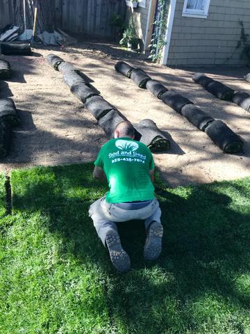 Lawn sod grass installation