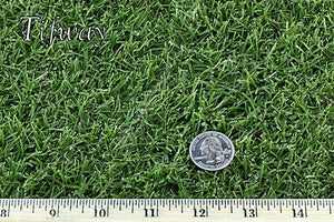 Tifway 419 Bermuda Grass – Sod and Seed, Inc.