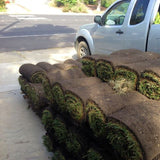 Installation of Sod Up to 2000 sq ft