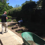 Installation of Sod Up to 2000 sq ft