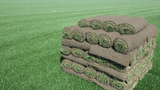 Superior Fescue Sod