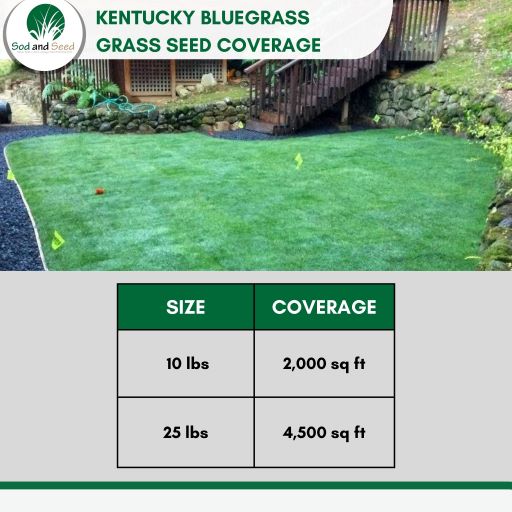 nk lawn and garden grass seed Kentucky Bluegrass Seed – Sod and Seed, Inc