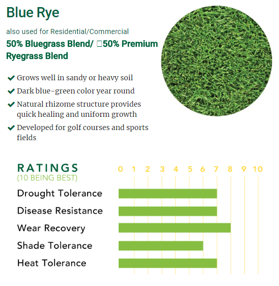 Blue Rye Grass Seed 50 50 – Sod and Seed, Inc.
