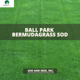 Ball Park Bermudagrass Sod