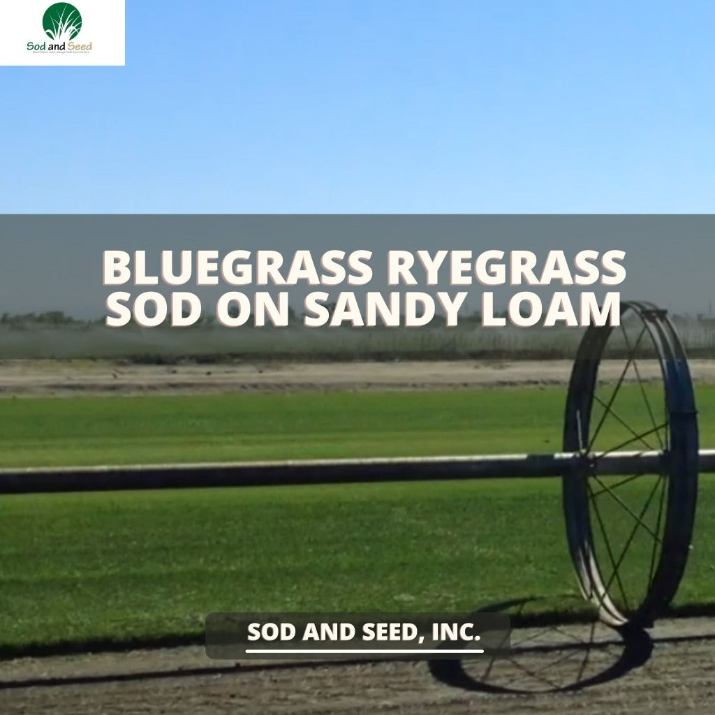 FREE DELIVERY on all sod, grass seed and lawn product orders! – Sod and ...