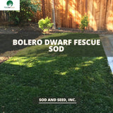 Bolero Sod Best Dwarf Fescue Grass