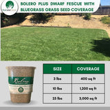 Bolero Plus Dwarf Fescue Grass Seed