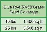 Bluegrass seed per a square foot
