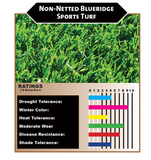 Non-Netted Blueridge sports turf - Bay Area Sod and Seed