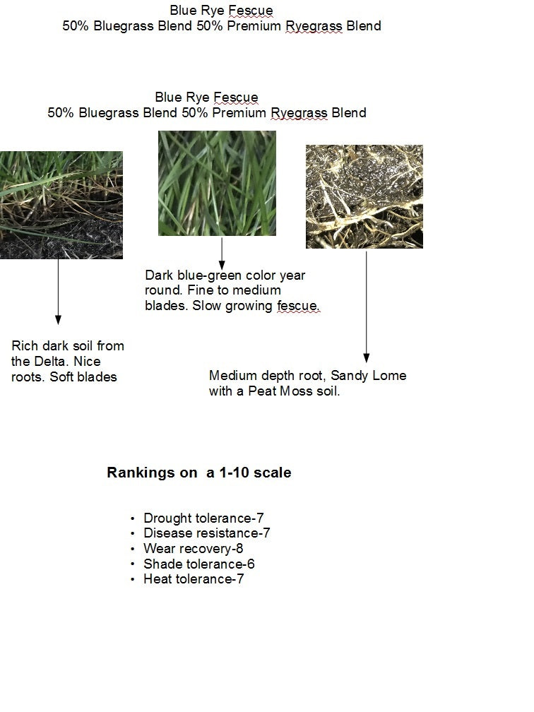 Bluegrass Ryegrass on Sandy Loam Soil – Sod and Seed, Inc.
