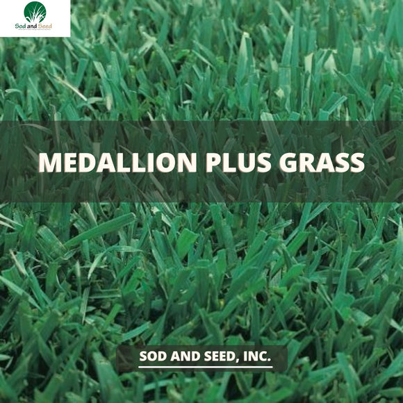 Hillside Fine Fescue – Sod and Seed, Inc.