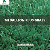 Medallion Plus Tall Fescue with Bluegrass Sod