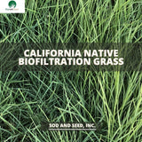 California Native Biofiltration Sod