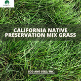 California Native Preservation Mix Grass