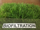 California Native Biofiltration grass