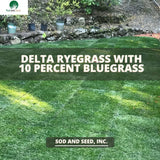 Perennial Rye Grass with Kentucky Bluegrass